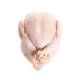 Fresh Poultry