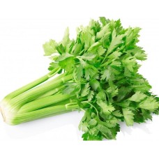 green celery bundle