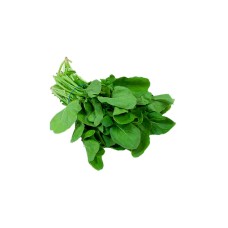 arugula packet